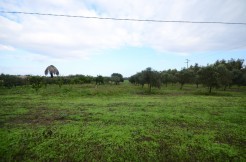 Azienda agricola