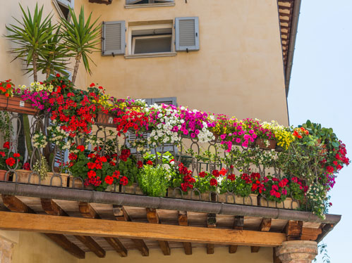 Arredare il balcone con le piante