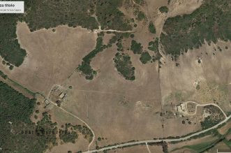 Azienda Agricola in vendita Alghero