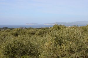 Sea View Villa Sale Alghero