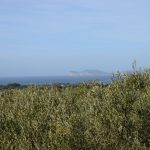 Villa Vista Mare Vendita Alghero