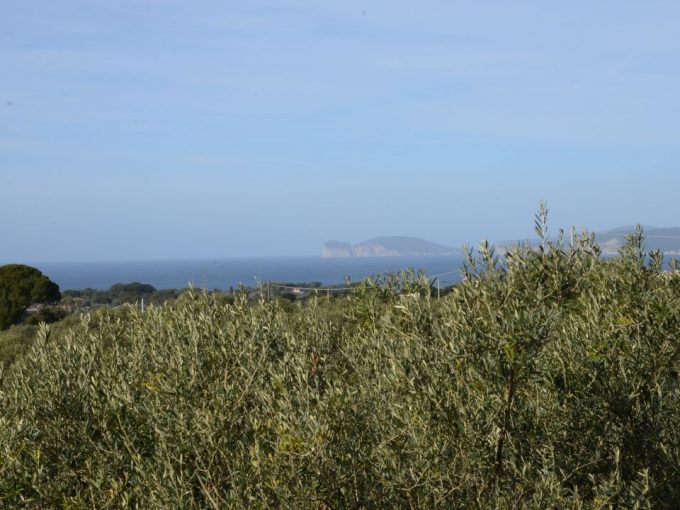 Villa Vista Mare Vendita Alghero