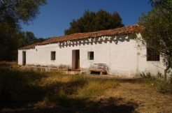 farmhouse to renovate Arzachena