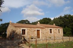 Stazzo Gallurese in vendita San Pantaleo Olbia