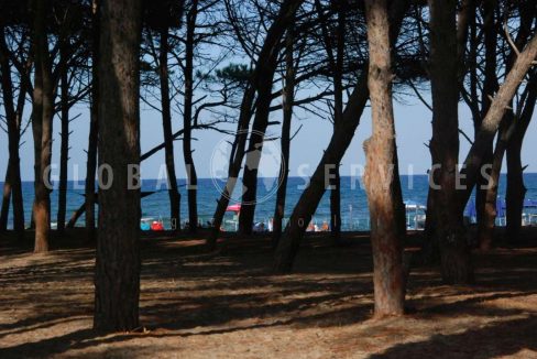 Villetta in vendita sul mare di Posada