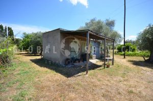 Terreno con magazzino Punta Moto Alghero