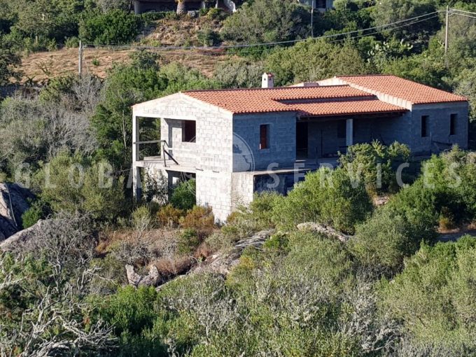 Ampio rustico con bellissimo terreno