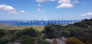 Ampia tenuta agricola con tre stazzi