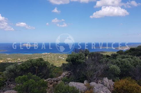 Ampia tenuta agricola con tre stazzi