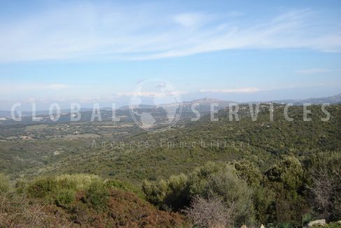 Favolosa tenuta agricola vista mare