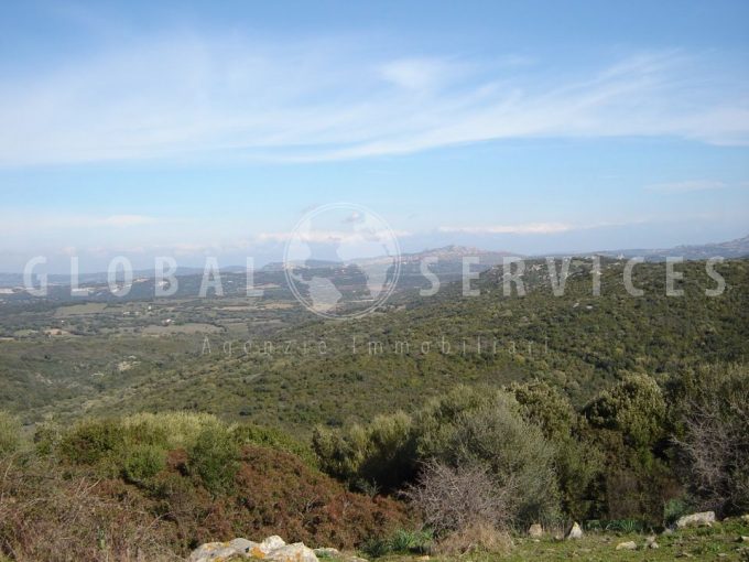 Favolosa tenuta agricola vista mare