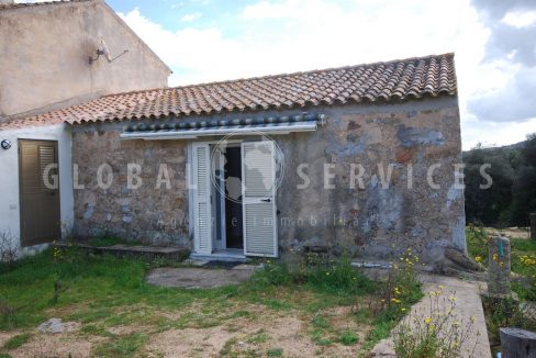 Bellissima tenuta agricola Arzachena