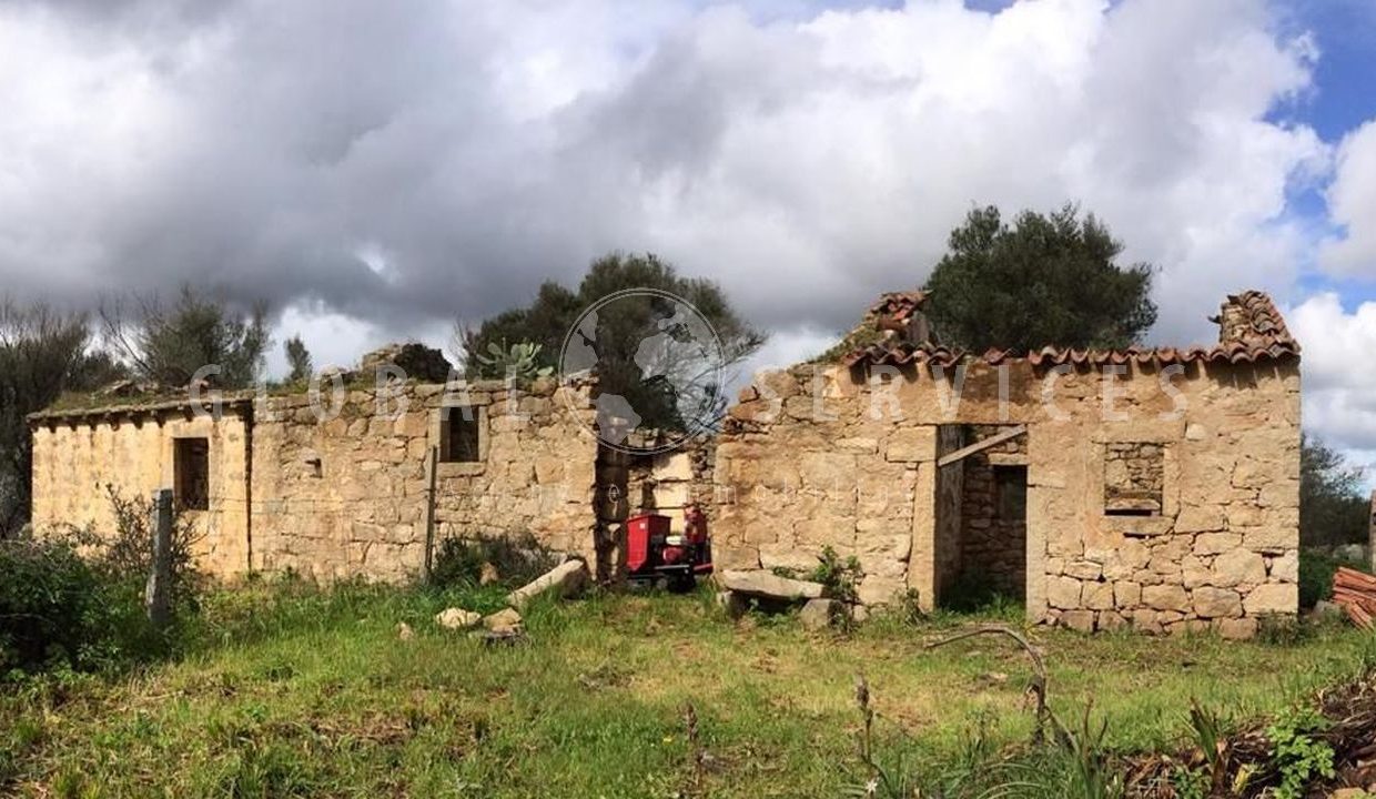 San Pantaleo antico stazzo vendita