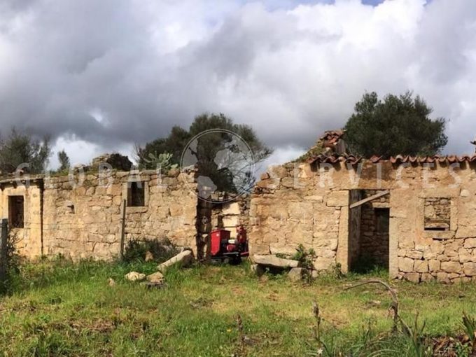 San Pantaleo antico stazzo vendita