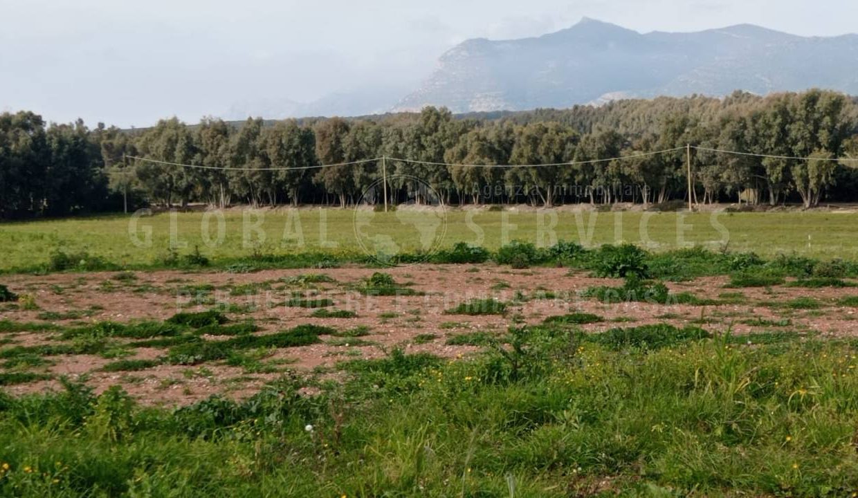 Terreno 9 ettari Cala del Vino