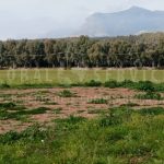 Terreno 9 ettari Cala del Vino