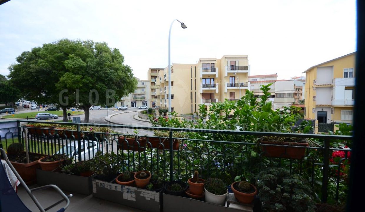 DSC_8715