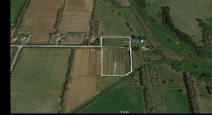 Terreno agricolo località Sa Segada