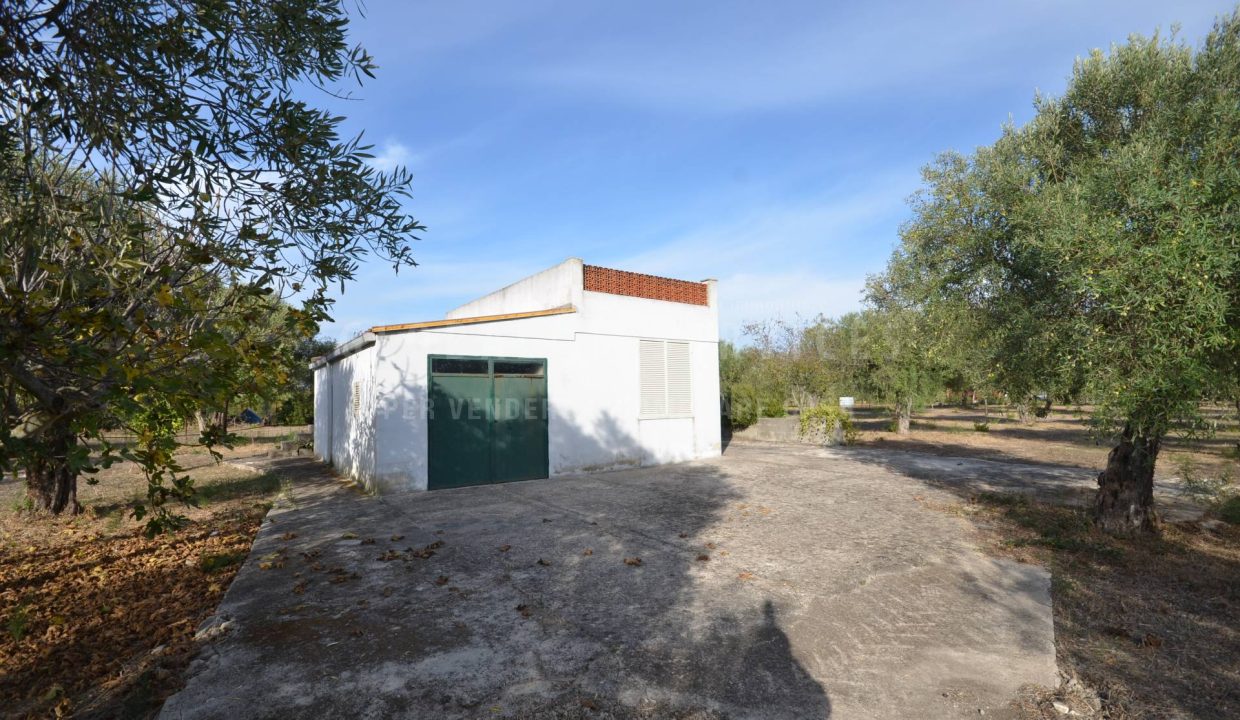 Fabbricato con terreno in Olmedo
