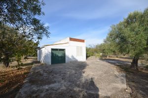 Fabbricato con terreno in Olmedo