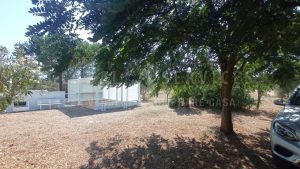 Terreno agricolo Olmedo