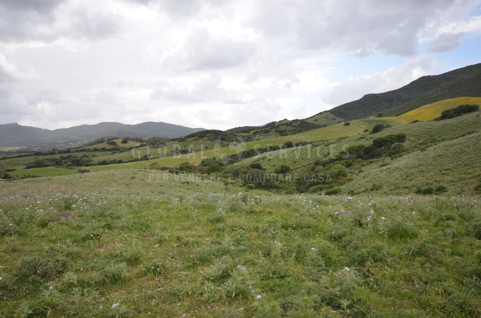 Azienda zootecnica nella pianura della Nurra