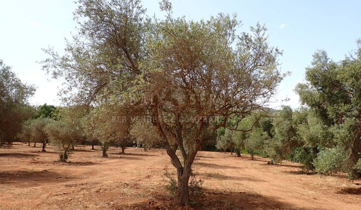 P7210671