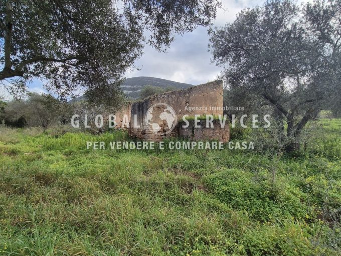 Località Guardia Grande: terreno e rudere
