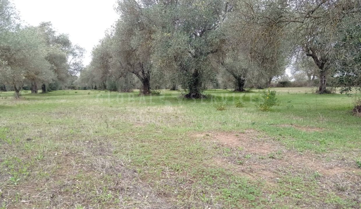 IMG-20231102-WA0018