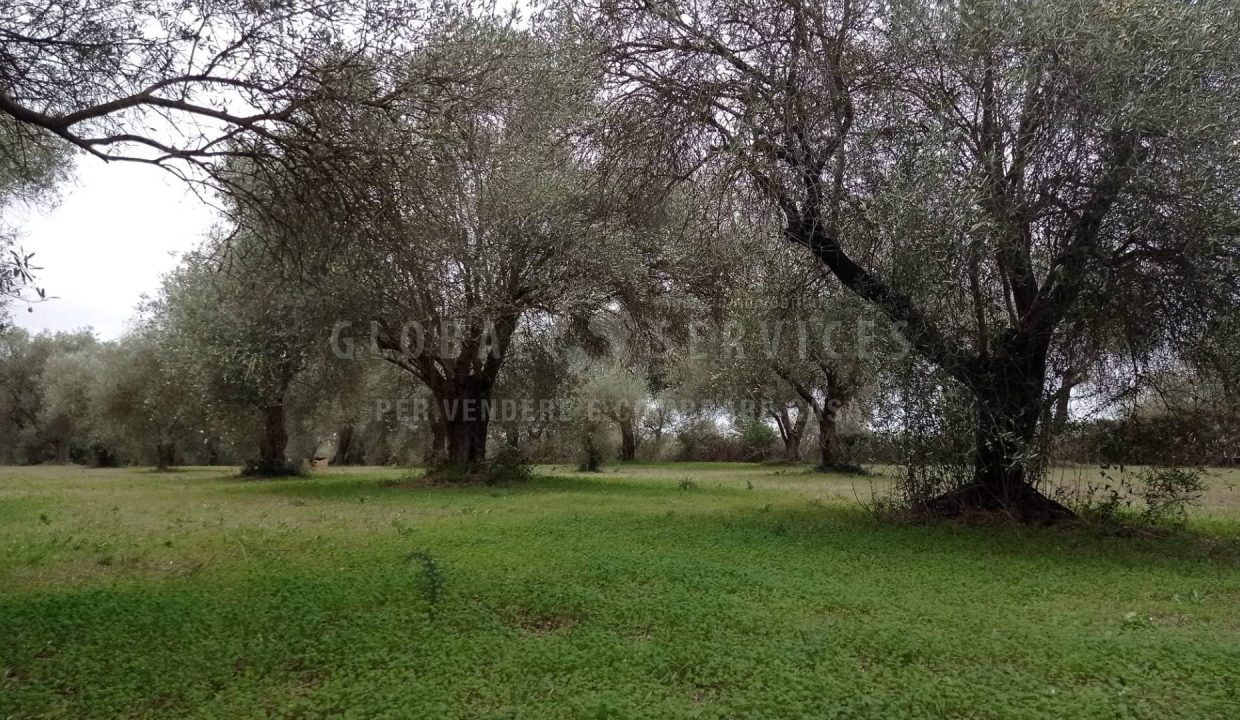 IMG-20231102-WA0020