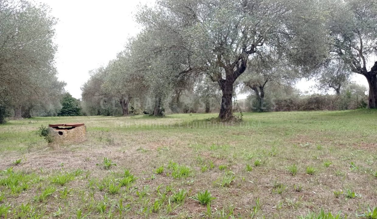 IMG-20231102-WA0021