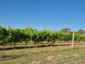 Terreno con Fabbricato vicino Porticciolo