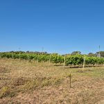 Terreno con Fabbricato vicino Porticciolo