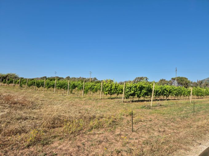 Terreno con Fabbricato vicino Porticciolo