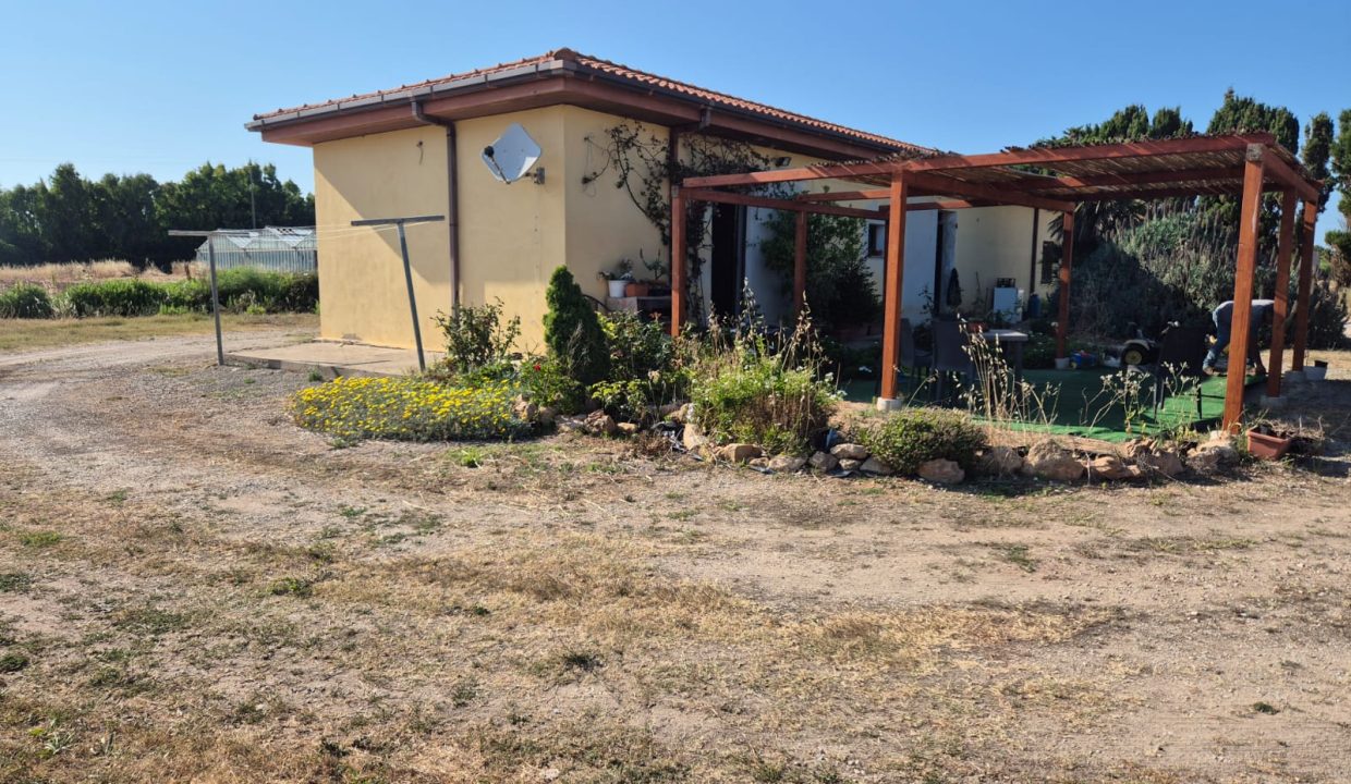 Immagine WhatsApp 2025-06-19 ore 08.38.29_4231c4d6