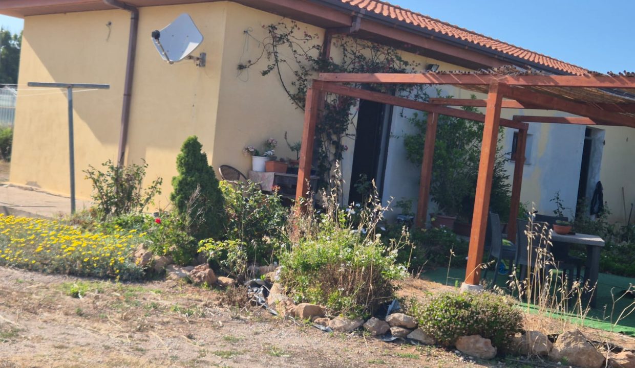 Immagine WhatsApp 2025-06-19 ore 08.38.30_e5211086