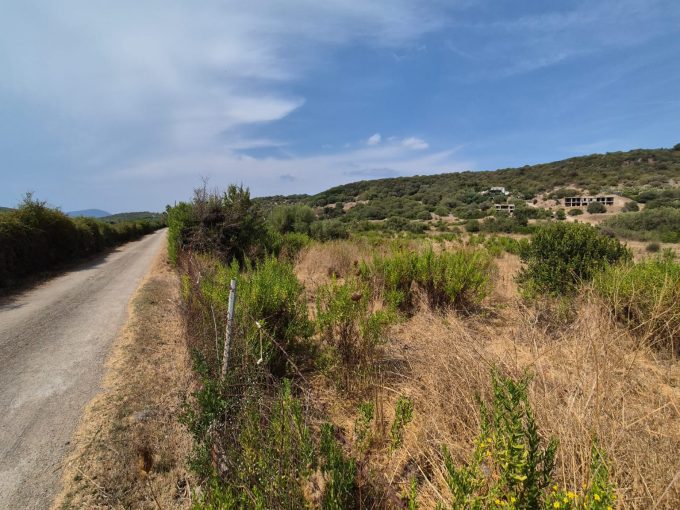 Alghero lotto di terreno vicinanze città
