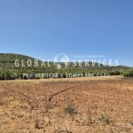 Terreno agricolo panoramico – 4,5 ettari recintati e pozzo
