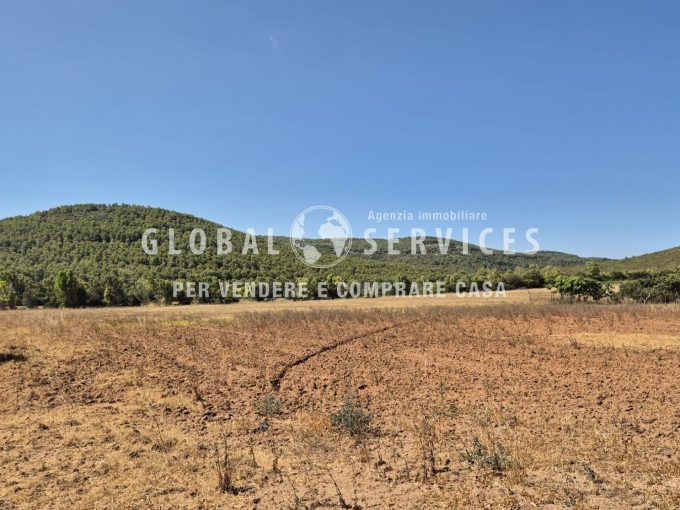 Terreno agricolo panoramico – 4,5 ettari recintati e pozzo