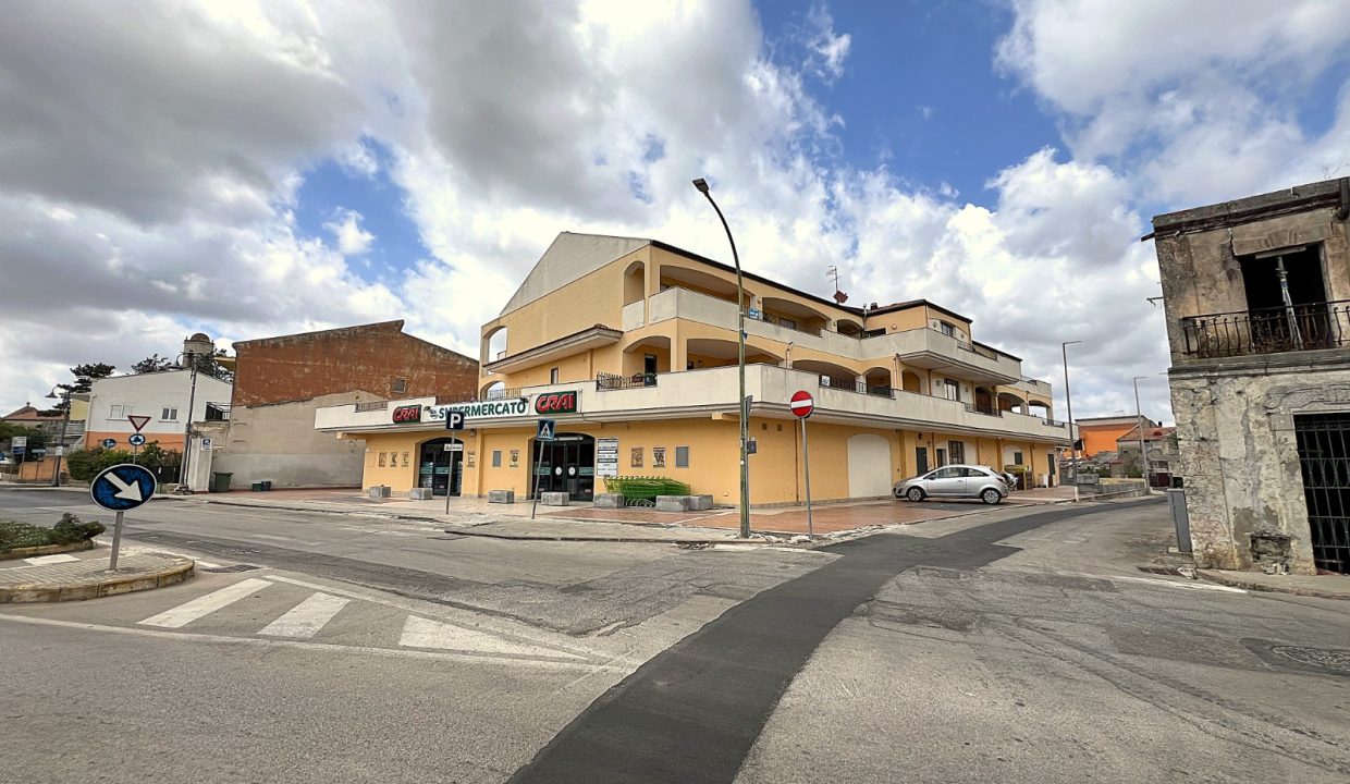 WhatsApp Image 2026-02-23 at 18.36.47