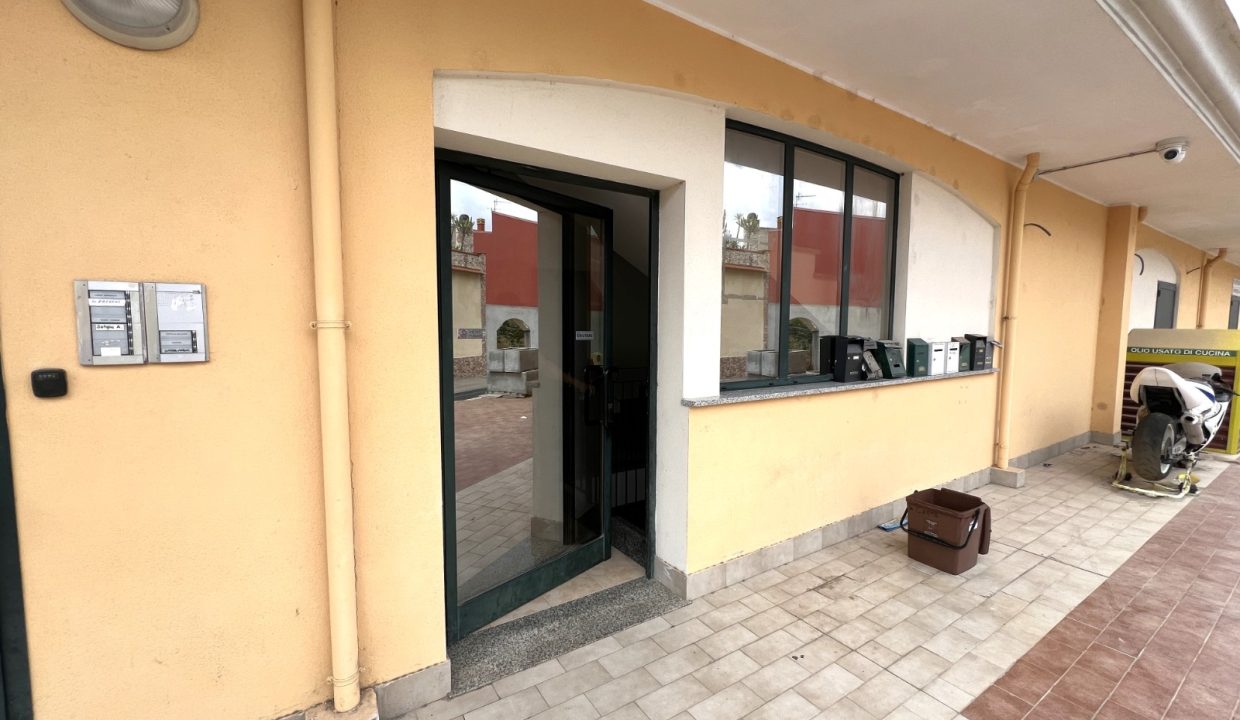 WhatsApp Image 2026-02-23 at 18.36.58