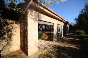 Terreno con magazzini in Località la Purissima