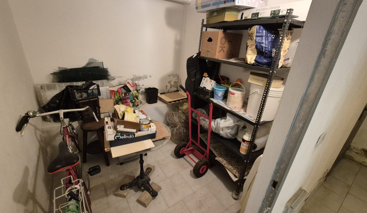 Immagine WhatsApp 2025-07-23 ore 17.12.48_2a57cbe5