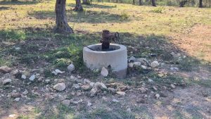Terreno panoramico nei pressi di Porto Conte