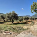 Terreno panoramico nei pressi di Porto Conte