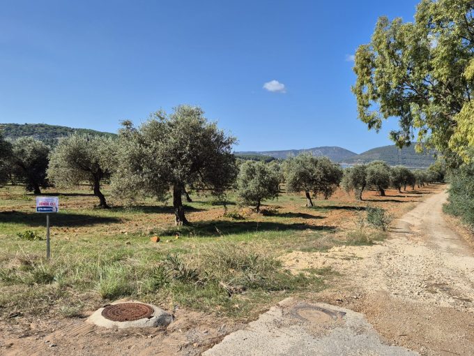 Terreno panoramico nei pressi di Porto Conte