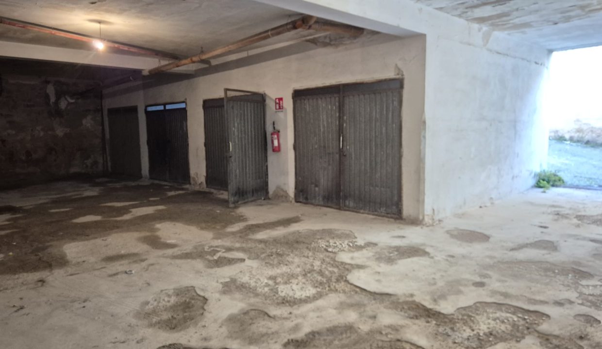 Immagine WhatsApp 2025-11-11 ore 10.47.58_9b2152b3