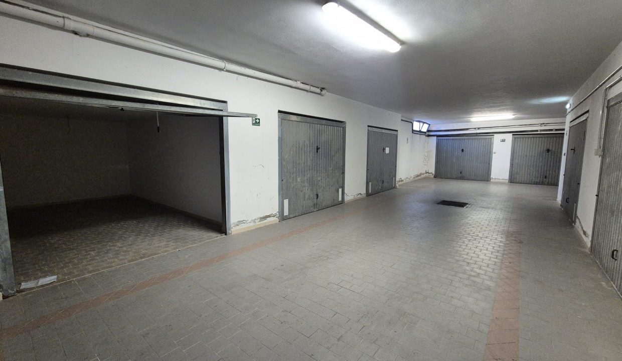 WhatsApp Image 2025-11-11 at 12.22.17