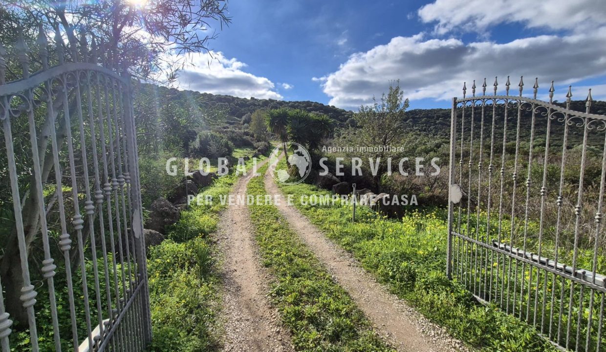 WhatsApp Image 2025-12-11 at 12.18.2