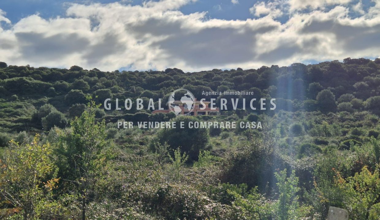 WhatsApp Image 2025-12-11 at 12.18.27